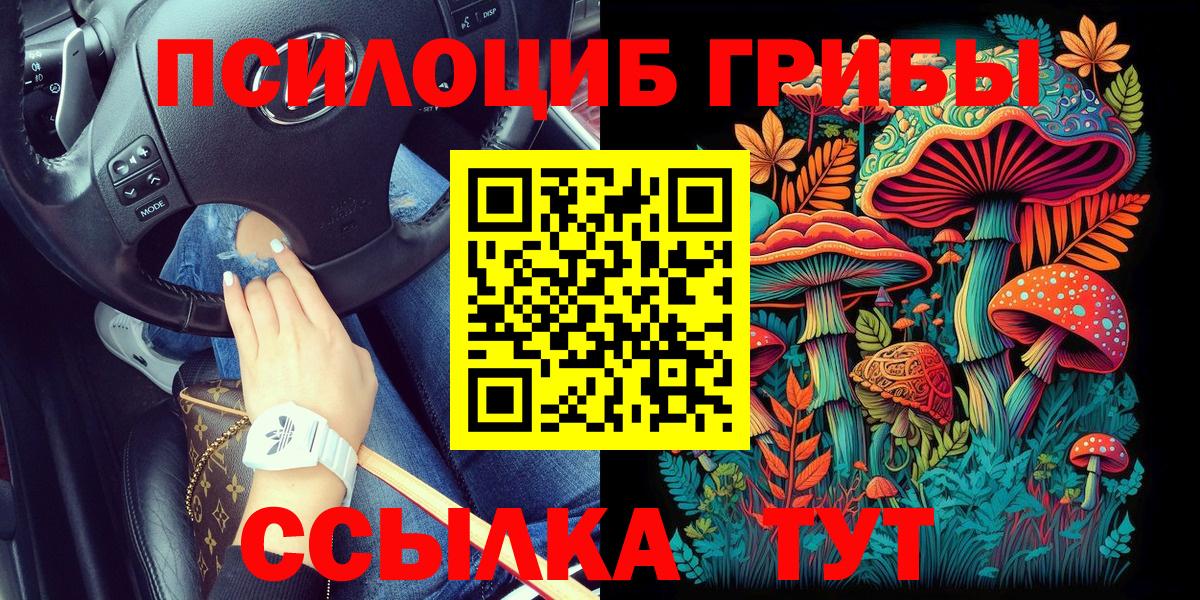 Галлюциногенные грибы Psilocybe Альметьевск