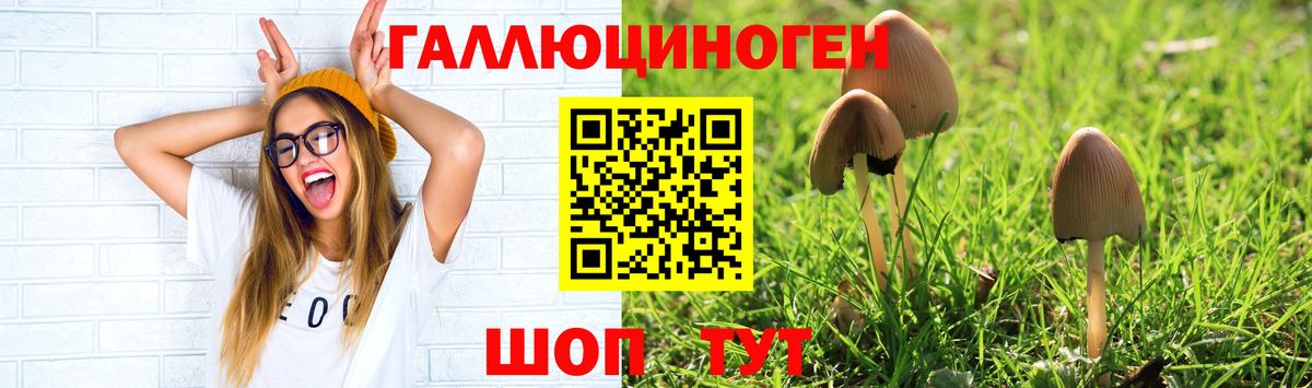 Альметьевск  Галлюциногенные грибы мицелий  Вход с VPN  Псилоцибиновые грибы прущие грибы 